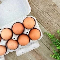 Best reviews of ✔️ Cornucopia Brands Cornucopia Half Dozen Egg Cartons (30-Pack); Split Apart Style For 6 Egg Or 12 Egg Use; Holds 180 Eggs Total ⭐ -Small Appliance Parts Shop 51mRS3BUi7L