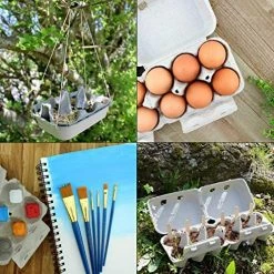 Best reviews of ✔️ Cornucopia Brands Cornucopia Half Dozen Egg Cartons (30-Pack); Split Apart Style For 6 Egg Or 12 Egg Use; Holds 180 Eggs Total ⭐ -Small Appliance Parts Shop 61Z4urfV3eL